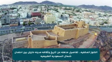 الكنوز المخفية.. تفاصيل مذهلة عن تاريخ وثقافة مدينة حائل بين أحضان شمال السعودية الطبيعية